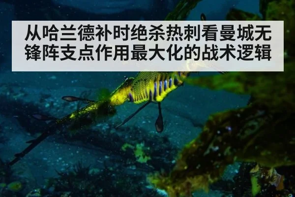 从哈兰德补时绝杀热刺看曼城无锋阵支点作用最大化的战术逻辑